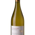Millaman Condor Chardonnay-0