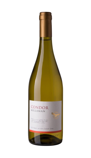 Millaman Condor Chardonnay-0